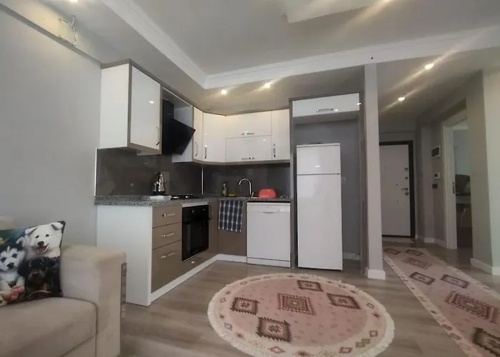 Appartement Safran House